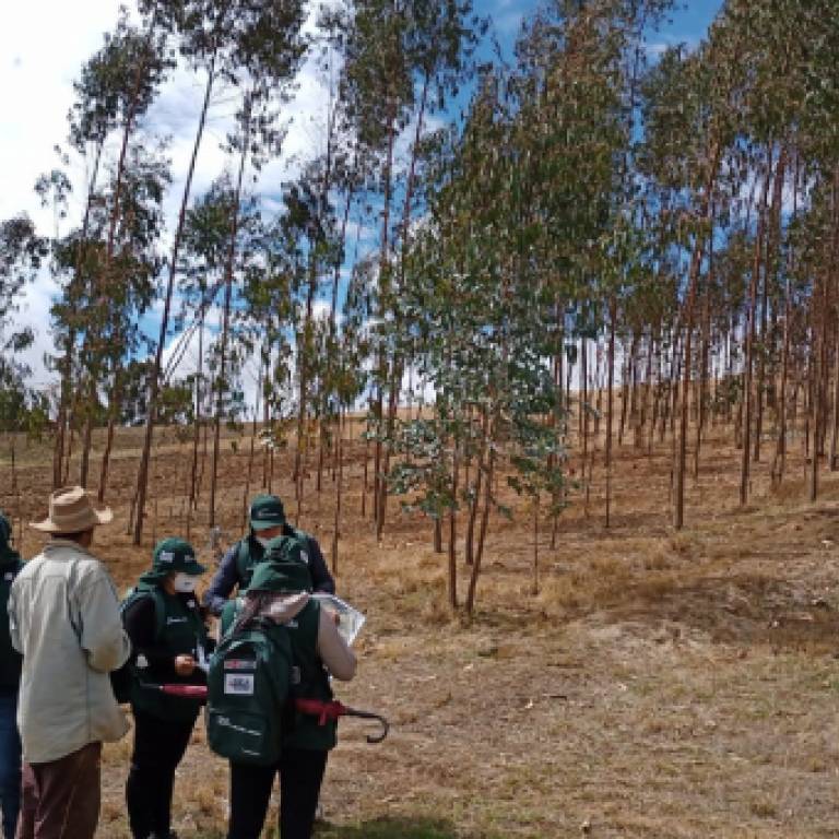 ENA MIDAGRI 2021- Garantizando la Calidad de la Información Estadística desde el Campo